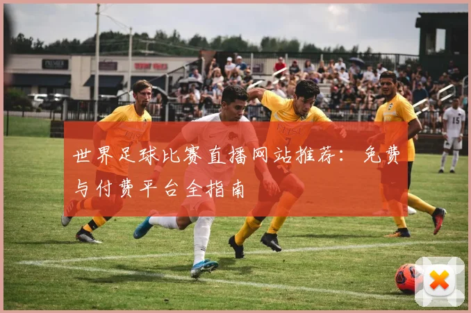 世界足球比赛直播网站推荐：免费与付费平台全指南