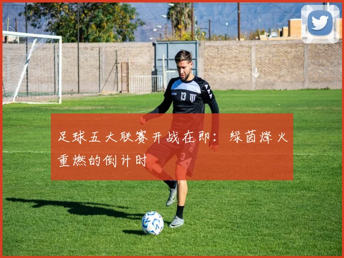 足球五大联赛开战在即：绿茵烽火重燃的倒计时