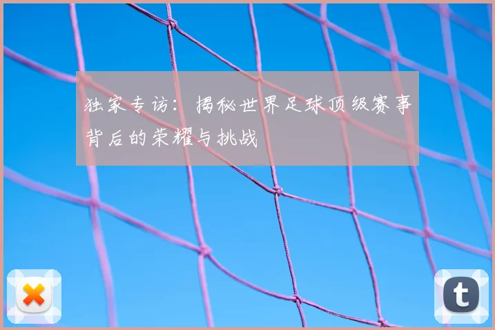独家专访：揭秘世界足球顶级赛事背后的荣耀与挑战